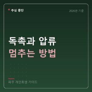 파주 개인회생 독촉과 압류 멈추는 방법