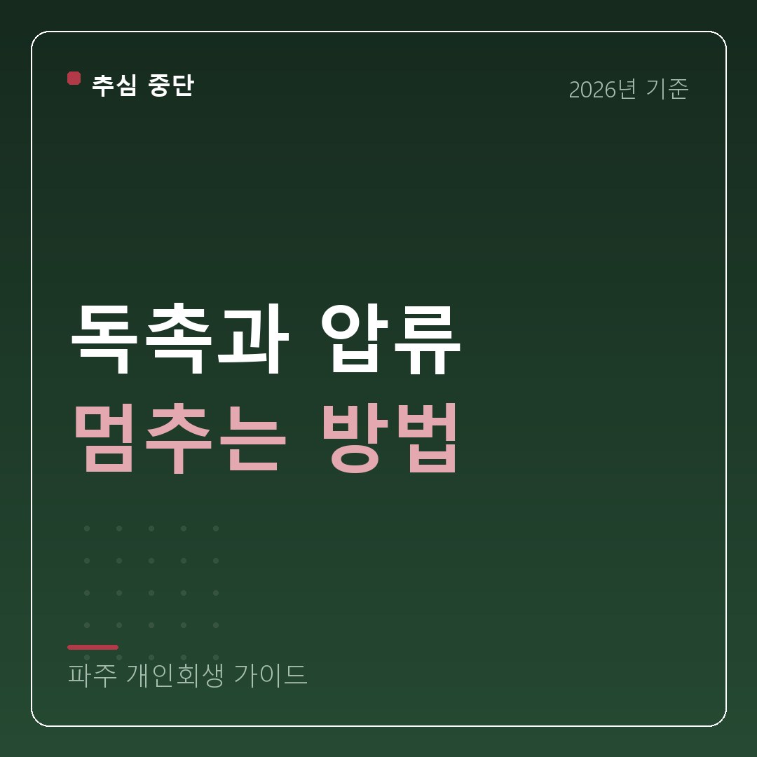 파주 개인회생 독촉과 압류 멈추는 방법